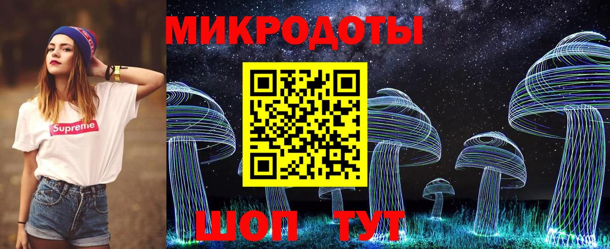 Протвино  Псилоцибиновые грибы Psilocybe  Вход с VPN  Псилоцибиновые грибы прущие грибы 