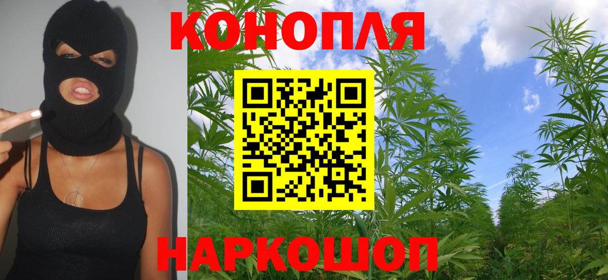 Канабис планчик Протвино